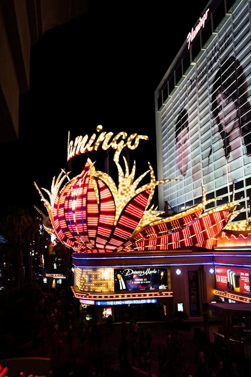 Casino-590.jpeg